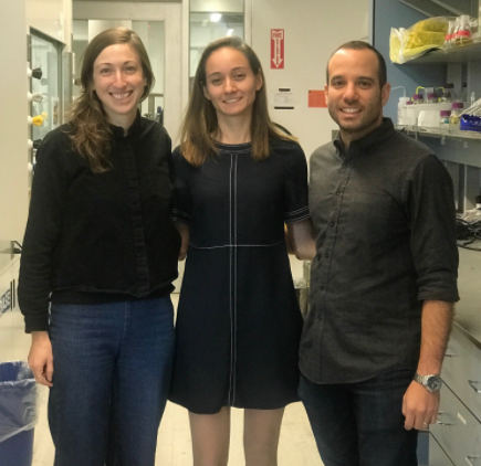 Dissertation meaning image