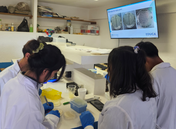 Students in Mexico working on ABE in the lab