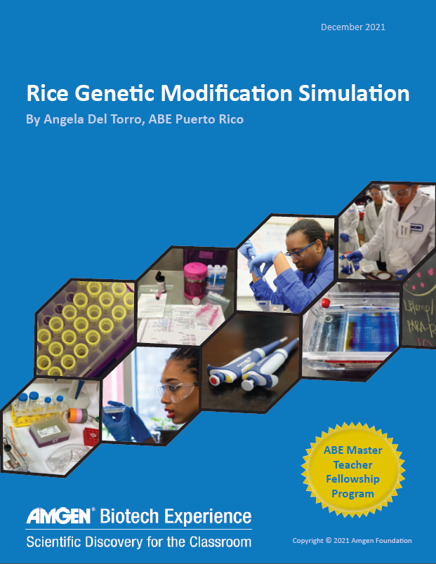 Cover of Curriculum: Rice Genetic Modification Simulation