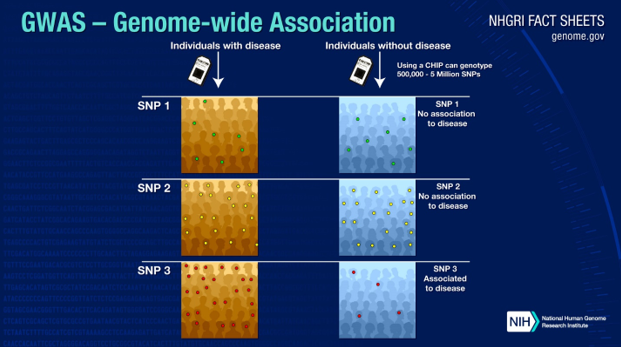 Analyzing Our Genes to Pinpoint Disease