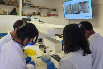Students in Mexico working on ABE in the lab