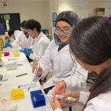 Tutoring students learning biotechology