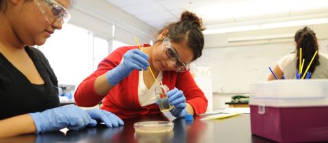 Terms of Use Students in science lab