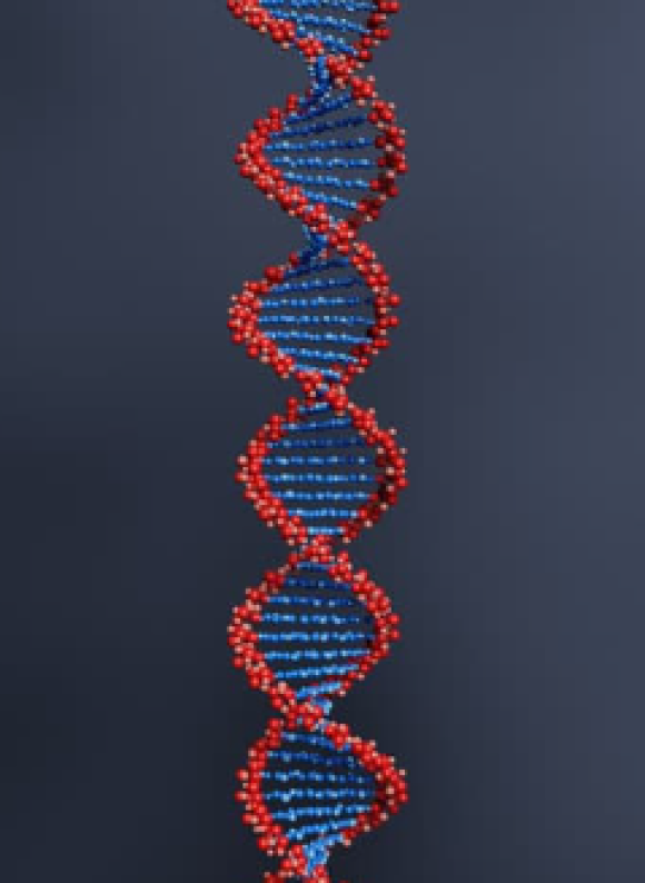 dna