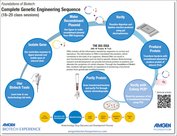 big idea graphic for Foundations of Biotech