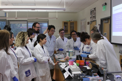 Woman training many adults on basic biotech techniques